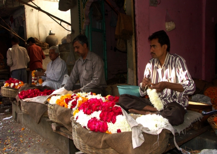 Marchands de fleurs, Jodhpur 