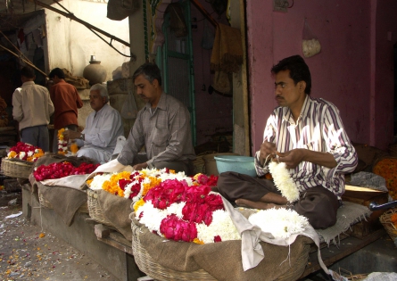 Marchands de fleurs, Jodhpur 