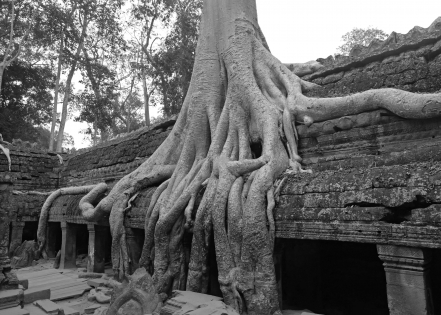 Tha Phrom 2, Angkor - Cambodge 