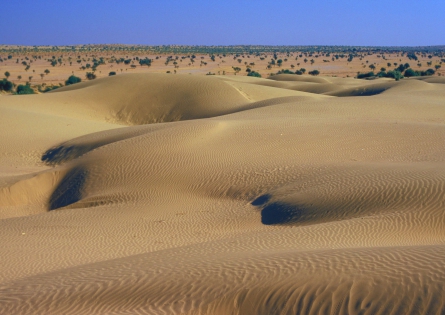 Dunes, Khuri, désert du Thar 