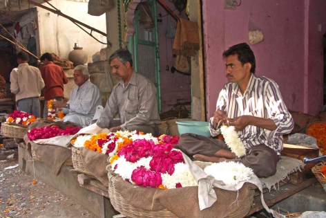 Fleuristes, Jodhpur, Inde 