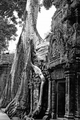 Ta Phrom 2 - Angkor 