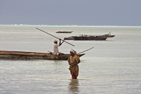 Zanzibar 1, Tanzanie 2012 
