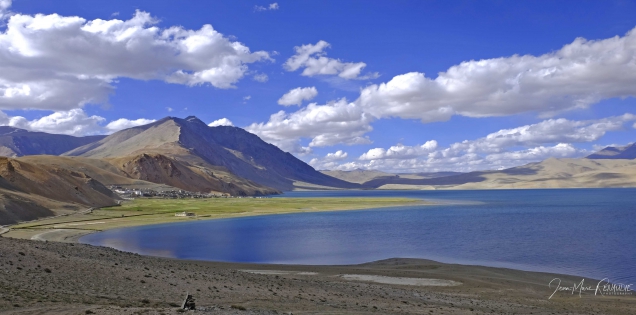 Tso Moriri 1, Ladakh 2017 